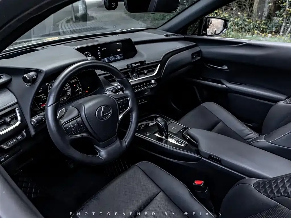 Lexus UX New Energy 2021 из CN, фото 4