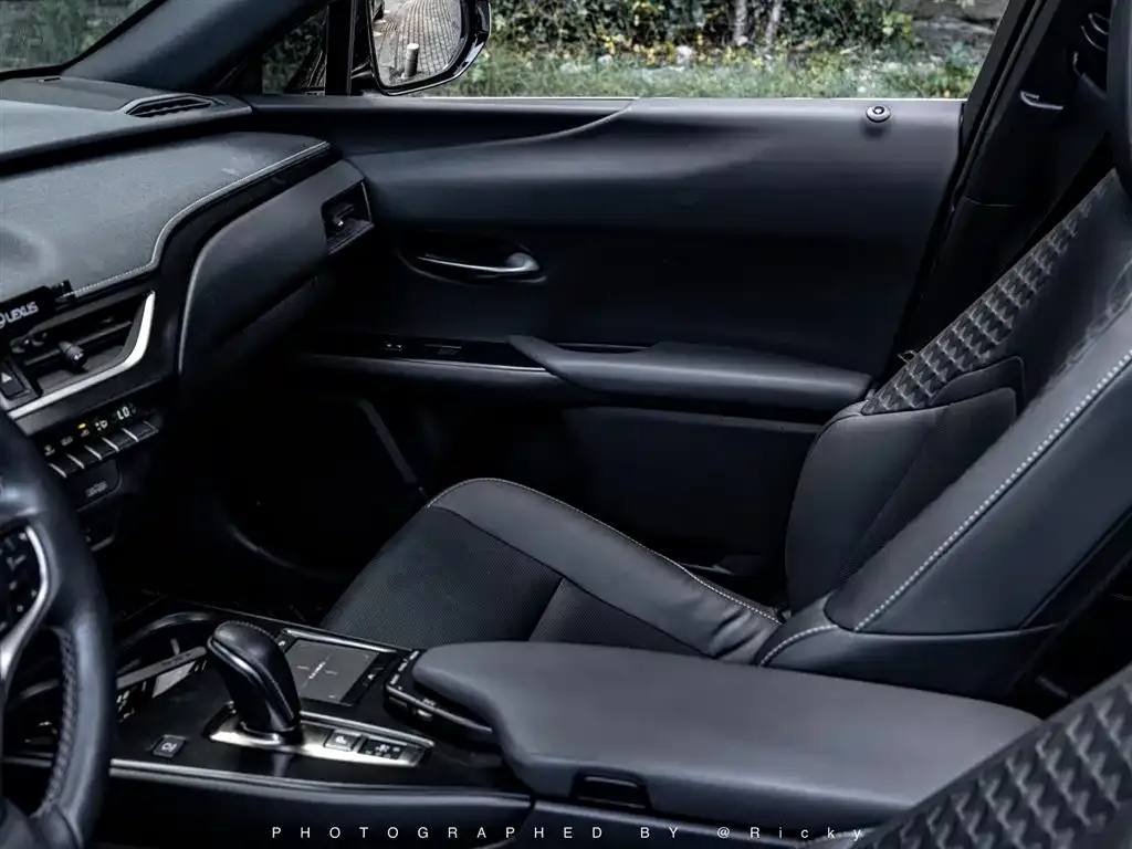 Lexus UX New Energy 2021 из CN, фото 8