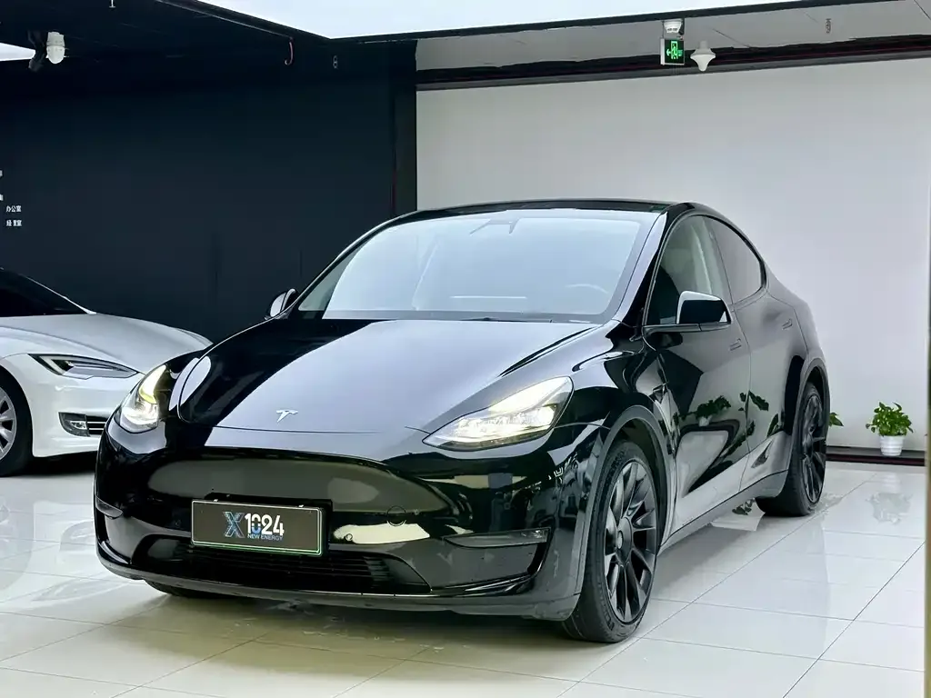 Tesla Model Y — фото 1