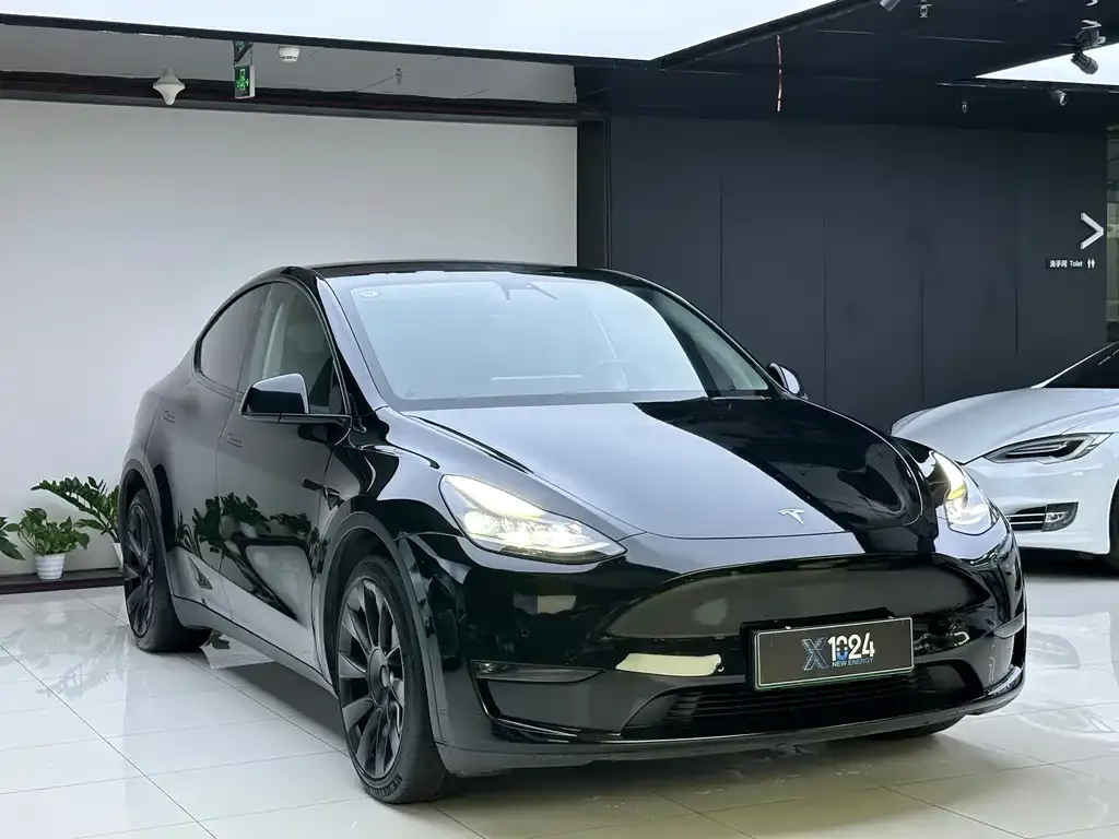 Tesla Model Y — фото 2