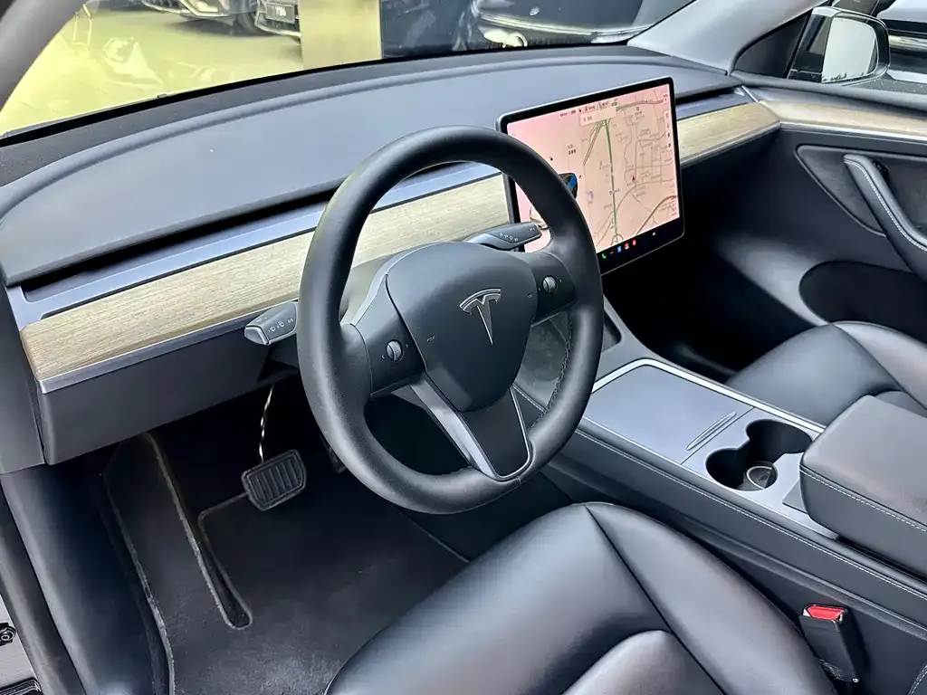 Tesla Model Y — фото 10