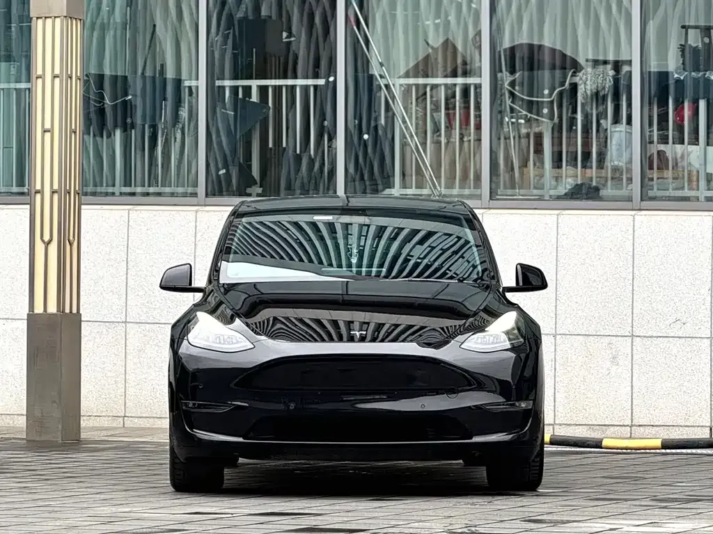 Tesla Model Y — фото 10