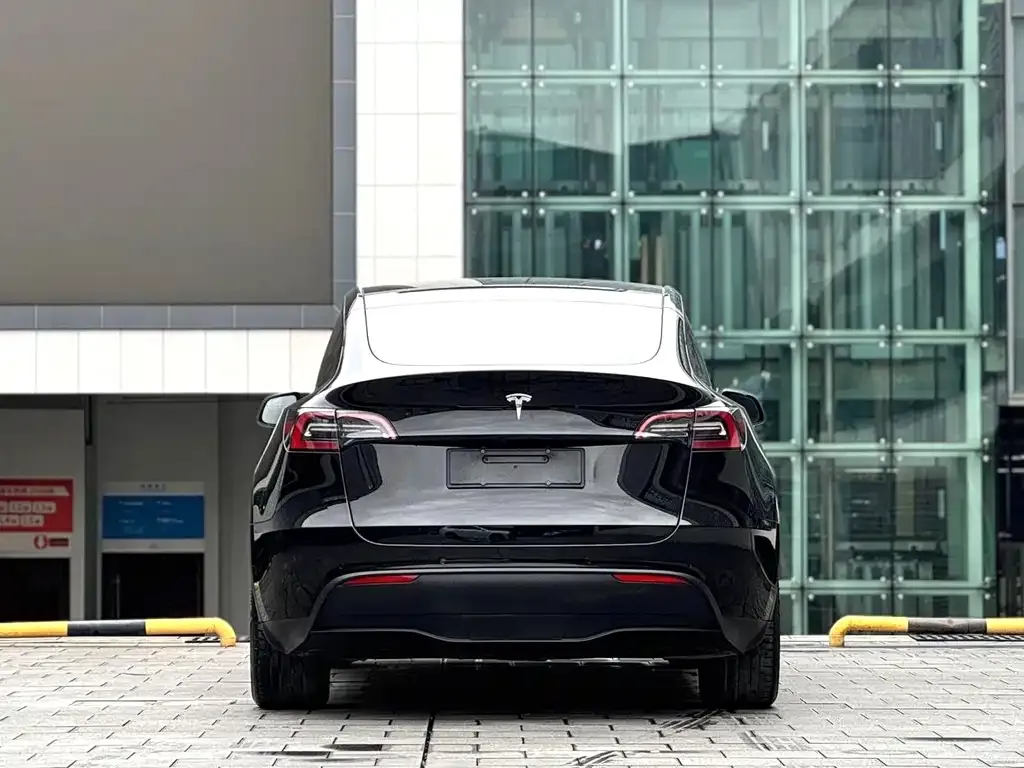 Tesla Model Y — фото 8