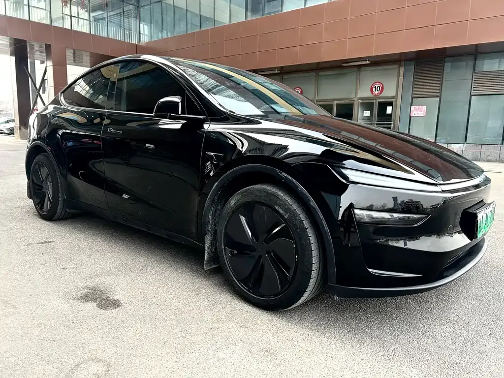 Tesla Model Y — фото 8