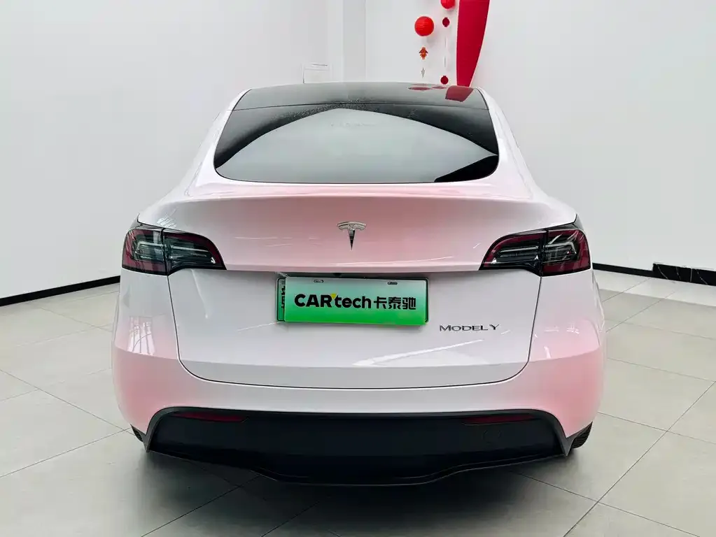 Tesla Model Y — фото 2