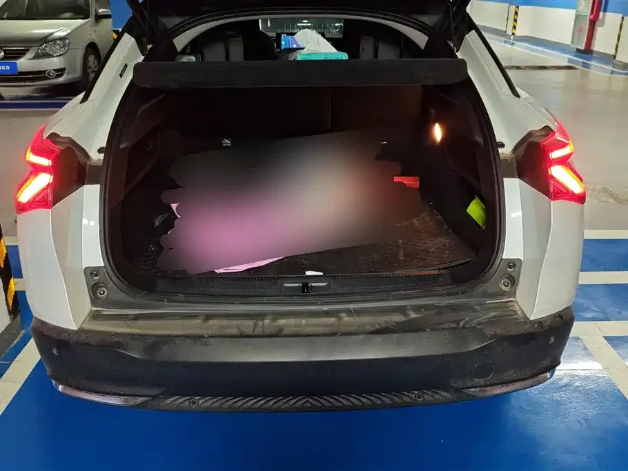 Citroen C5 X 2024 из CN, фото 9