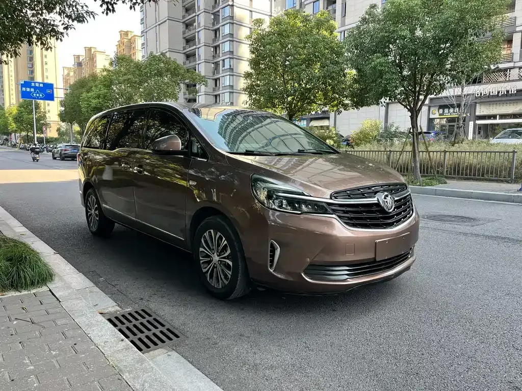 Buick GL8 2021 из CN, фото 7