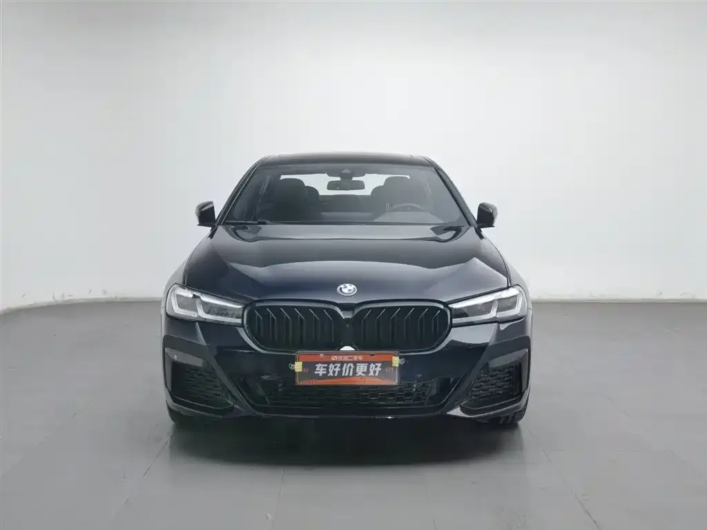 BMW 5 Series 2023 из CN, фото 6