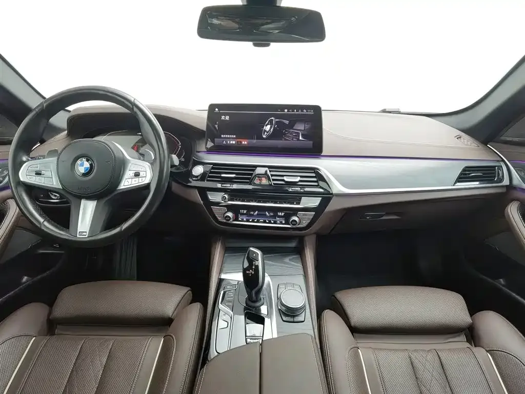 BMW 5 Series 2023 из CN, фото 8