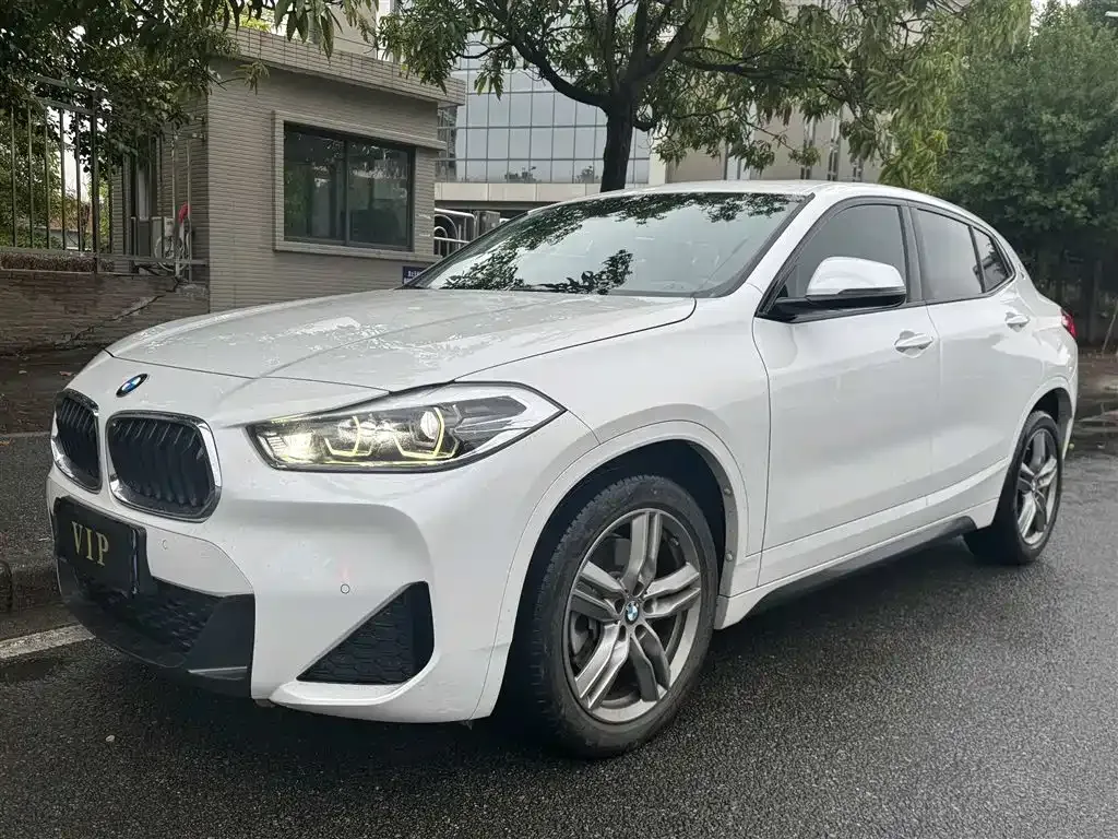BMW X2 2021 из CN, фото 1