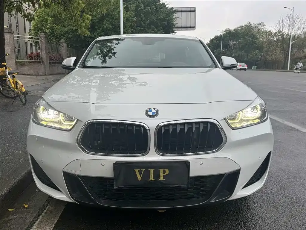 BMW X2 2021 из CN, фото 8