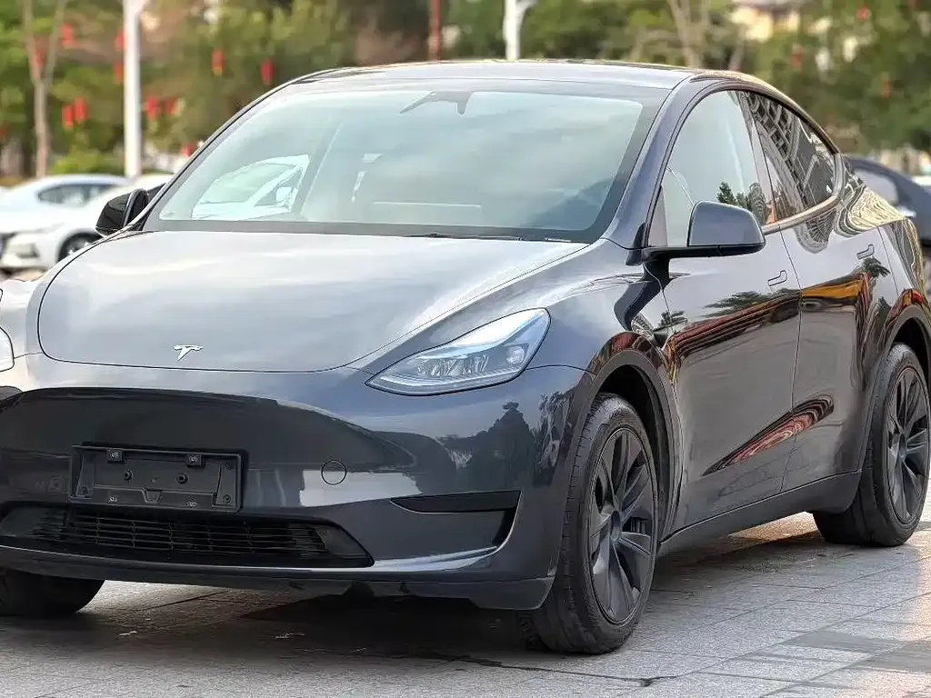 Tesla Model Y — фото 1