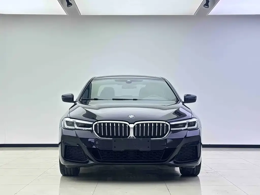 BMW 5 Series 2023 из CN, фото 2