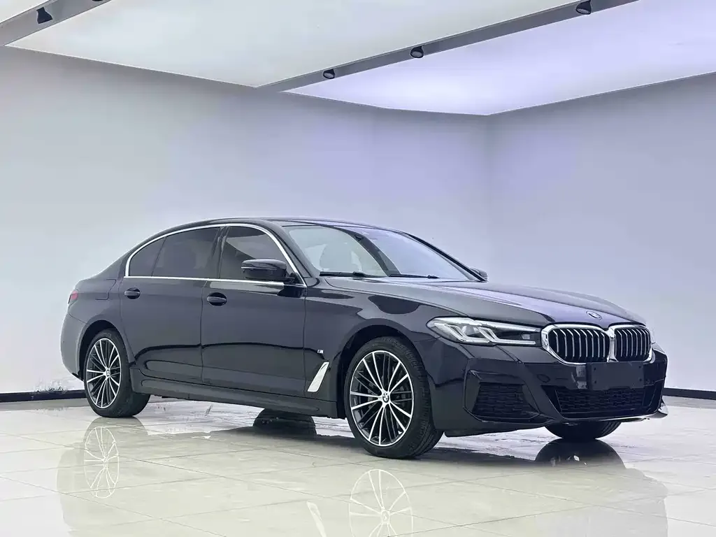 BMW 5 Series 2023 из CN, фото 4