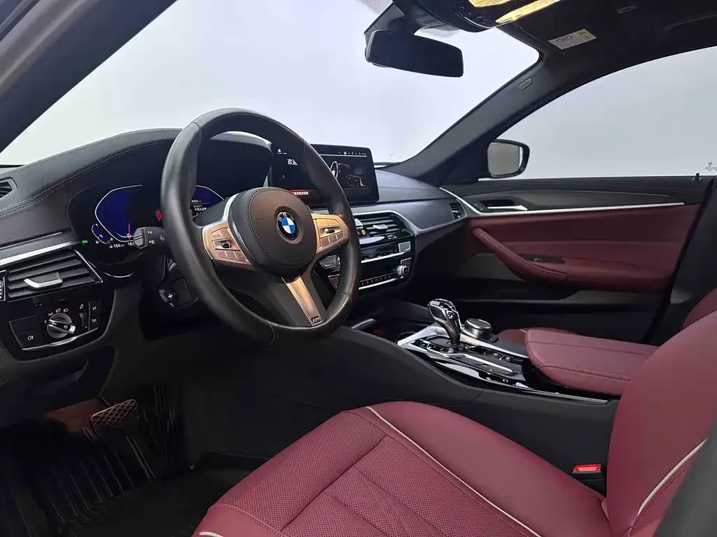 BMW 5 Series 2023 из CN, фото 7