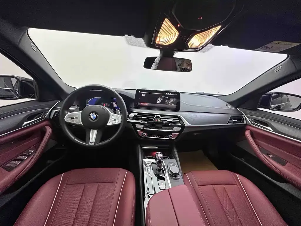 BMW 5 Series 2023 из CN, фото 5