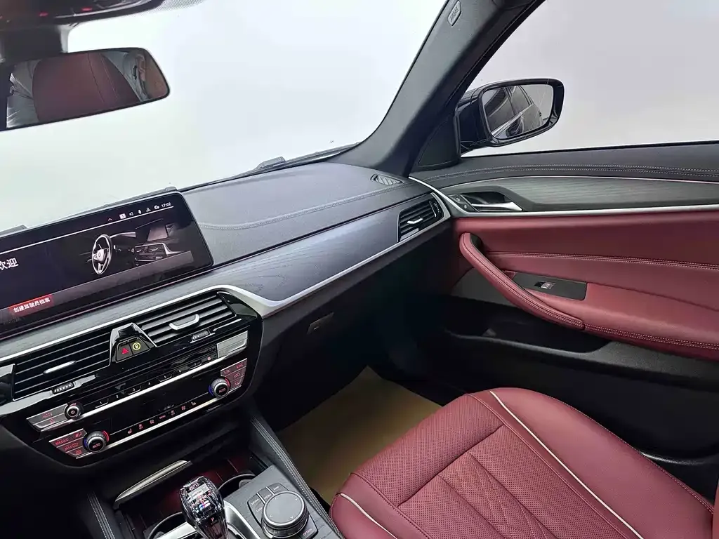 BMW 5 Series 2023 из CN, фото 10