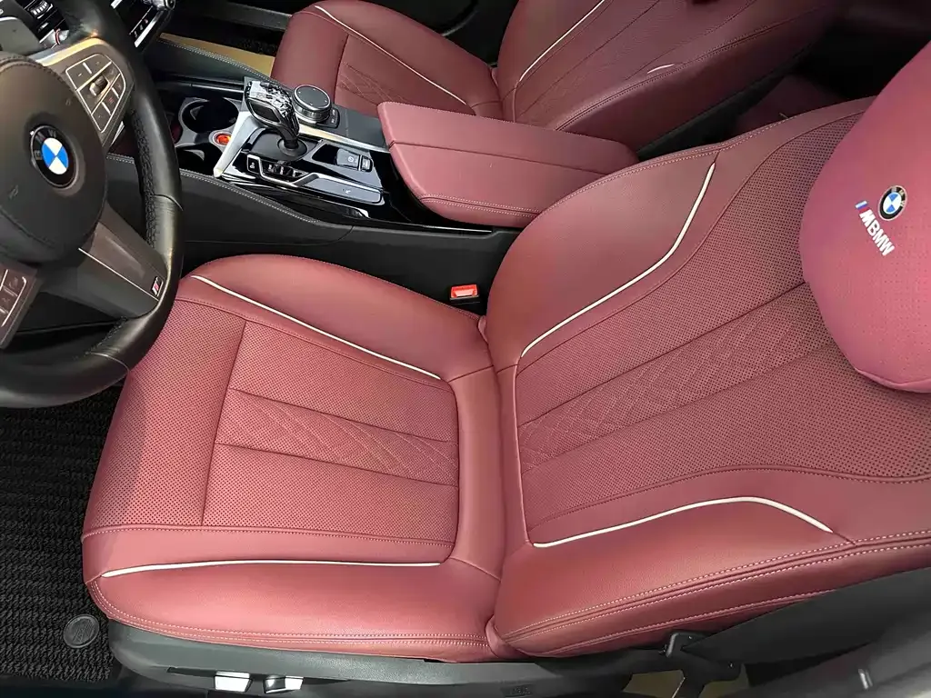 BMW 5 Series 2023 из CN, фото 9