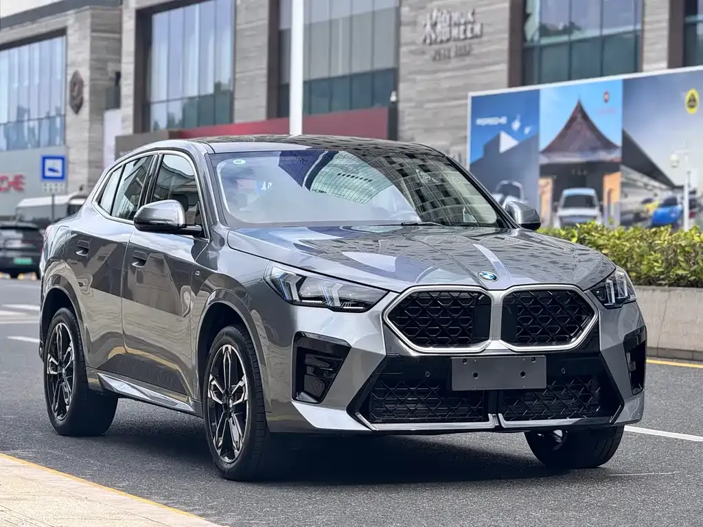 BMW X2 (Import) 2025 из CN, фото 9