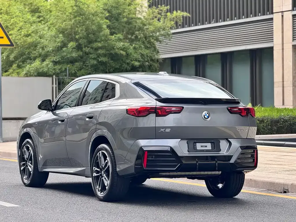 BMW X2 (Import) 2025 из CN, фото 4