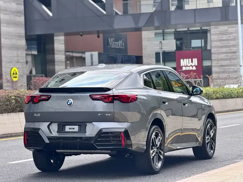 BMW X2 (Import) 2025 из CN, фото 10