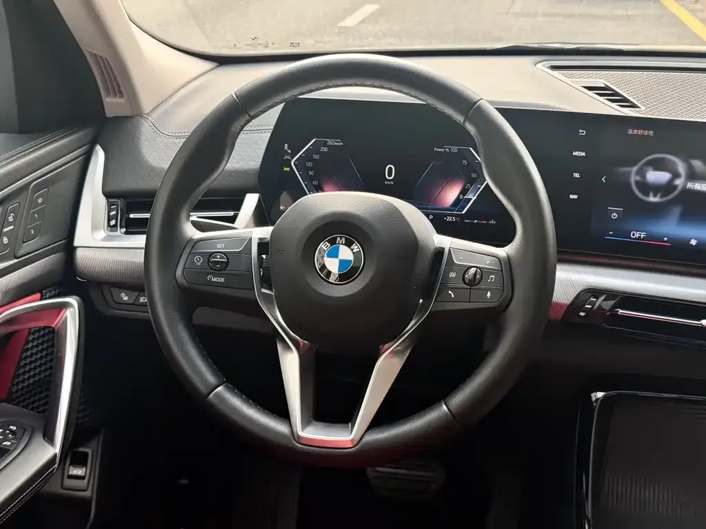 BMW X2 (Import) 2025 из CN, фото 5
