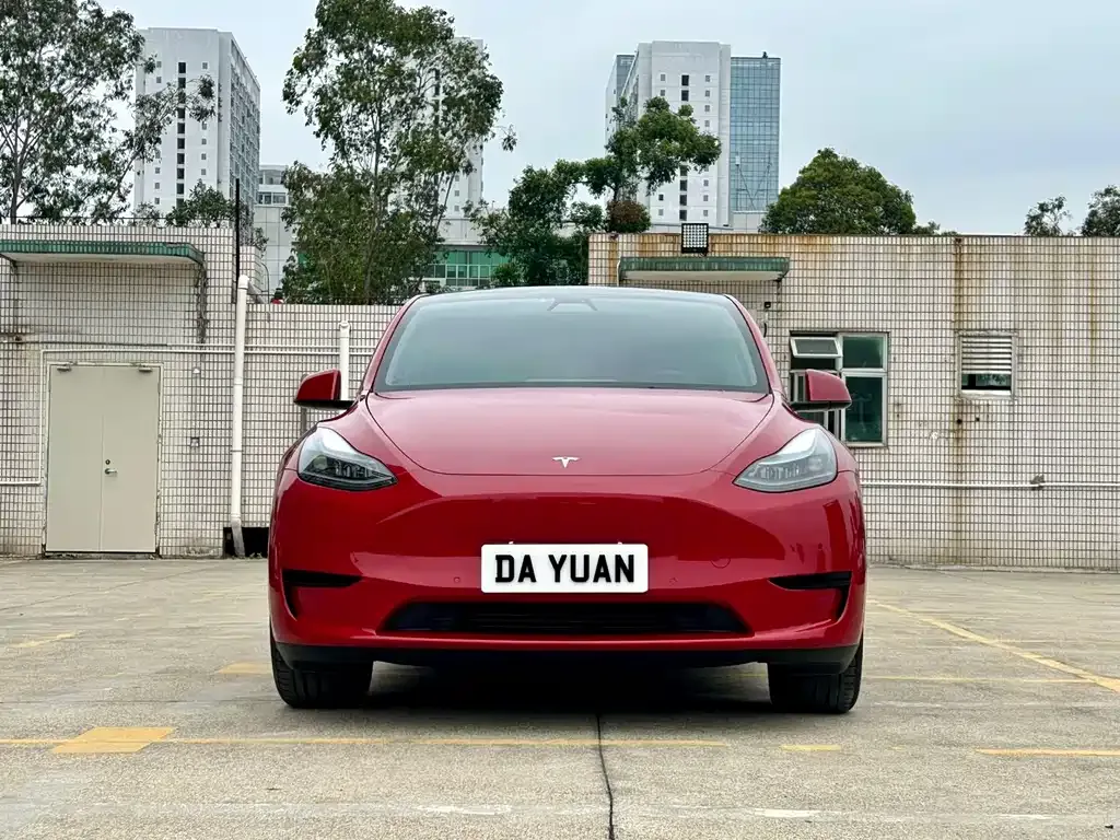 Tesla Model Y — фото 9