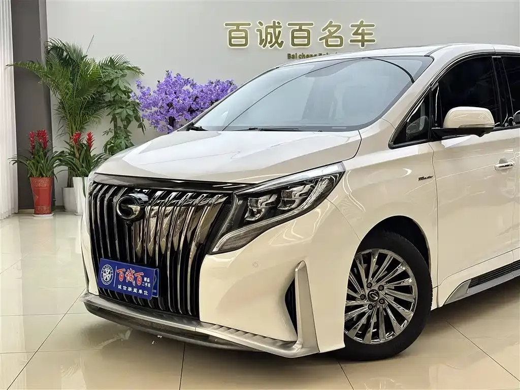 GAC Motor Trumpchi M8 2021 из CN, фото 10