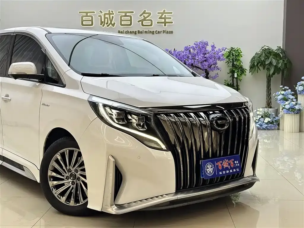 GAC Motor Trumpchi M8 2021 из CN, фото 6