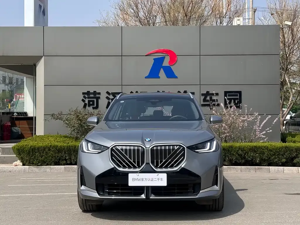 BMW X3 2025 из CN, фото 6