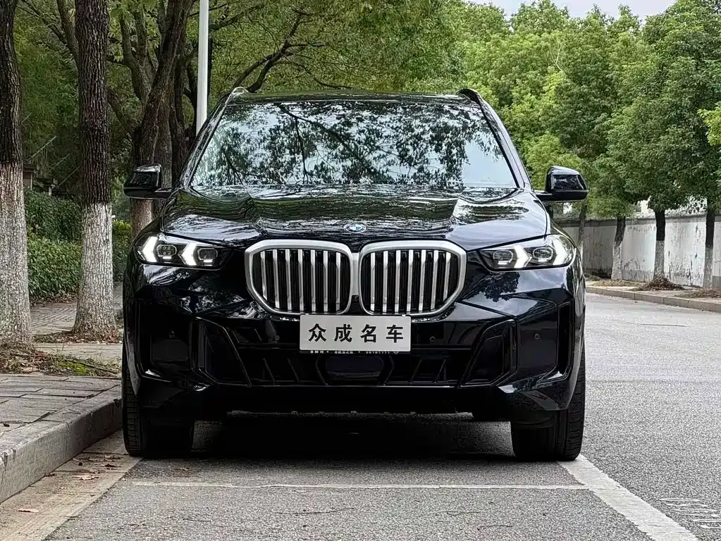 BMW X5 2024 из CN, фото 5