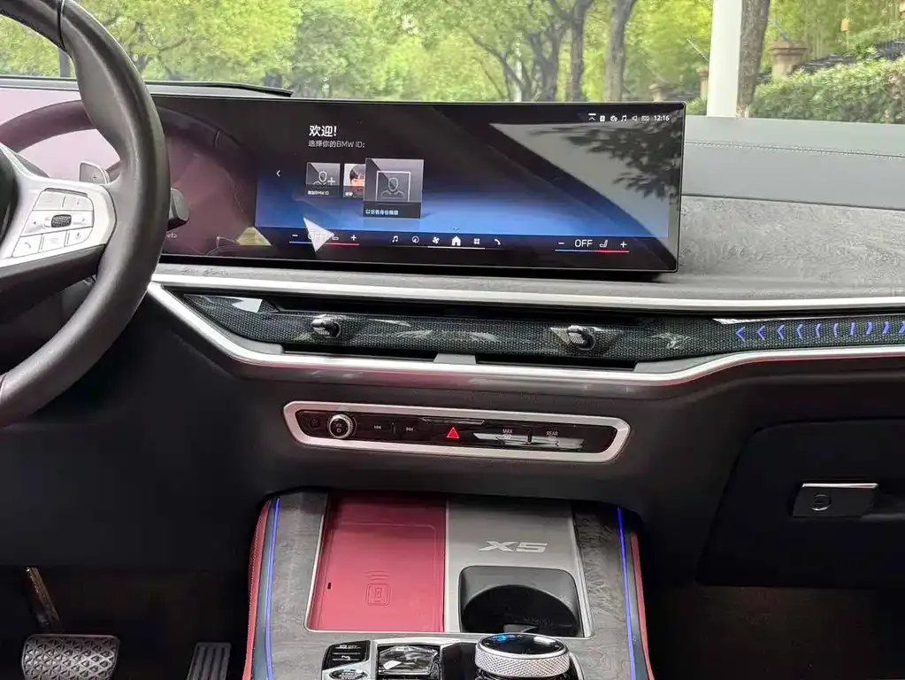 BMW X5 2024 из CN, фото 8