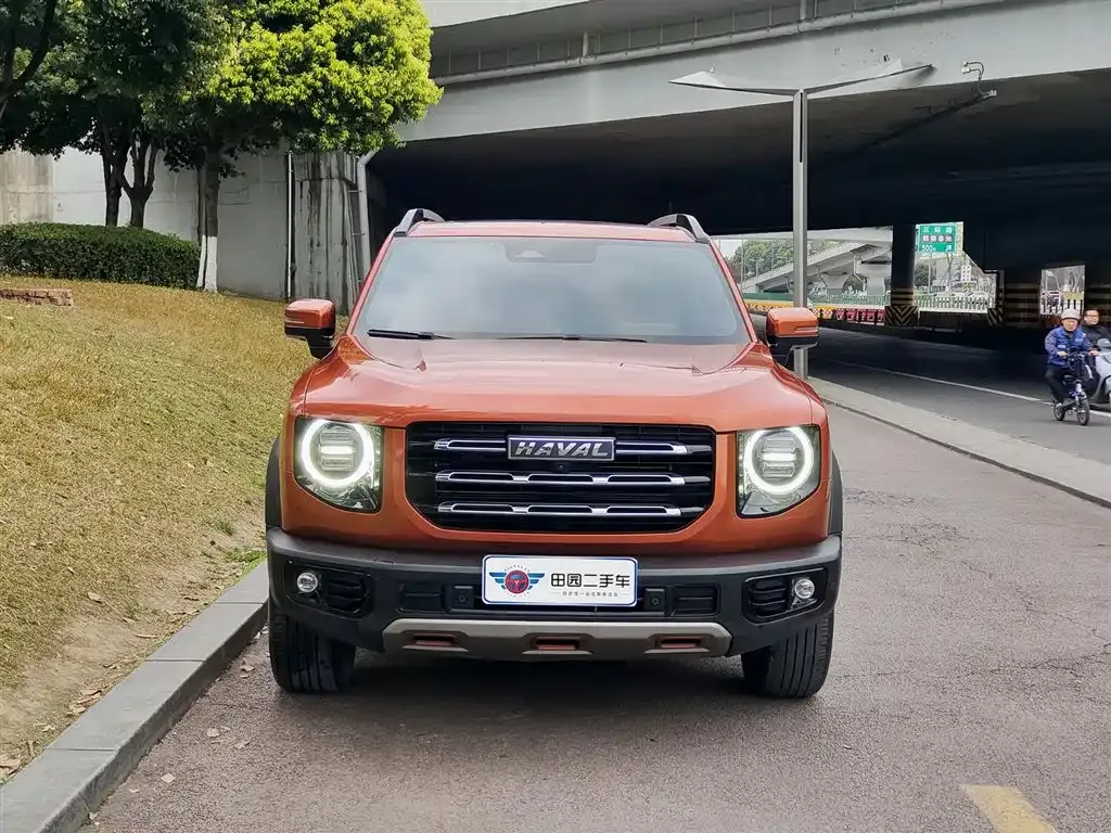 Haval Big Dog 2021 из CN, фото 8