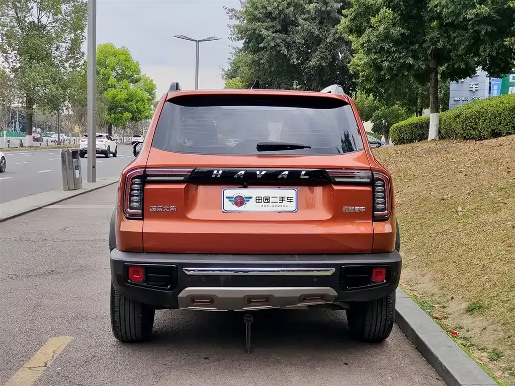 Haval Big Dog 2021 из CN, фото 10