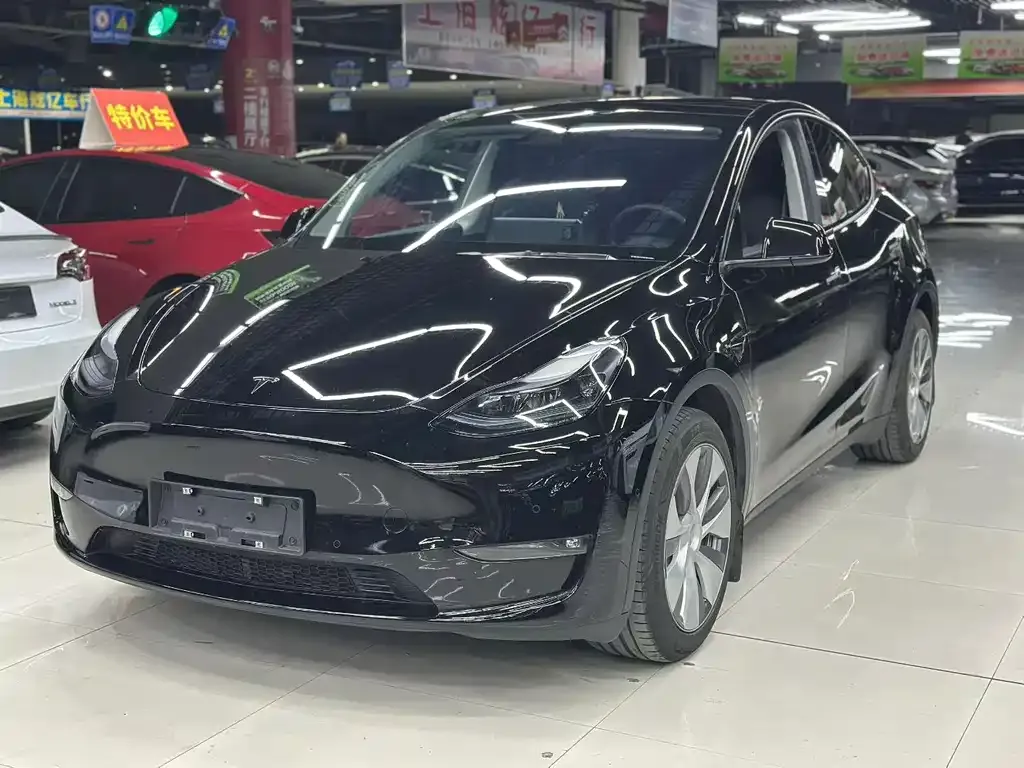 Tesla Model Y — фото 1