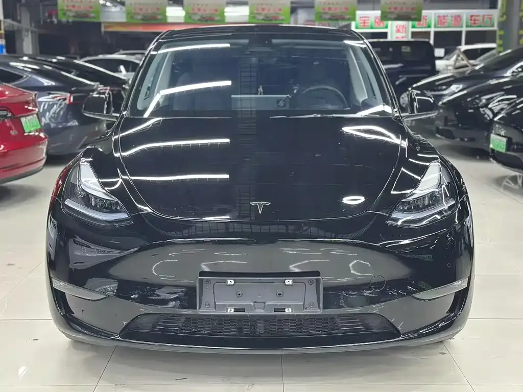 Tesla Model Y — фото 4