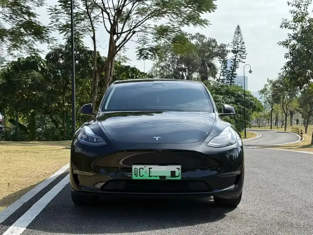 Tesla Model Y 2023 из CN, фото 8