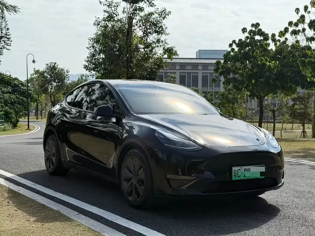 Tesla Model Y 2023 из CN, фото 4