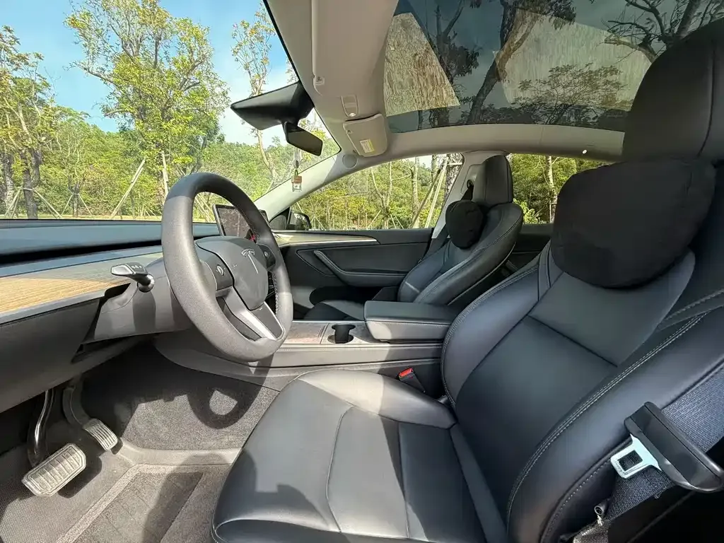 Tesla Model Y 2023 из CN, фото 5