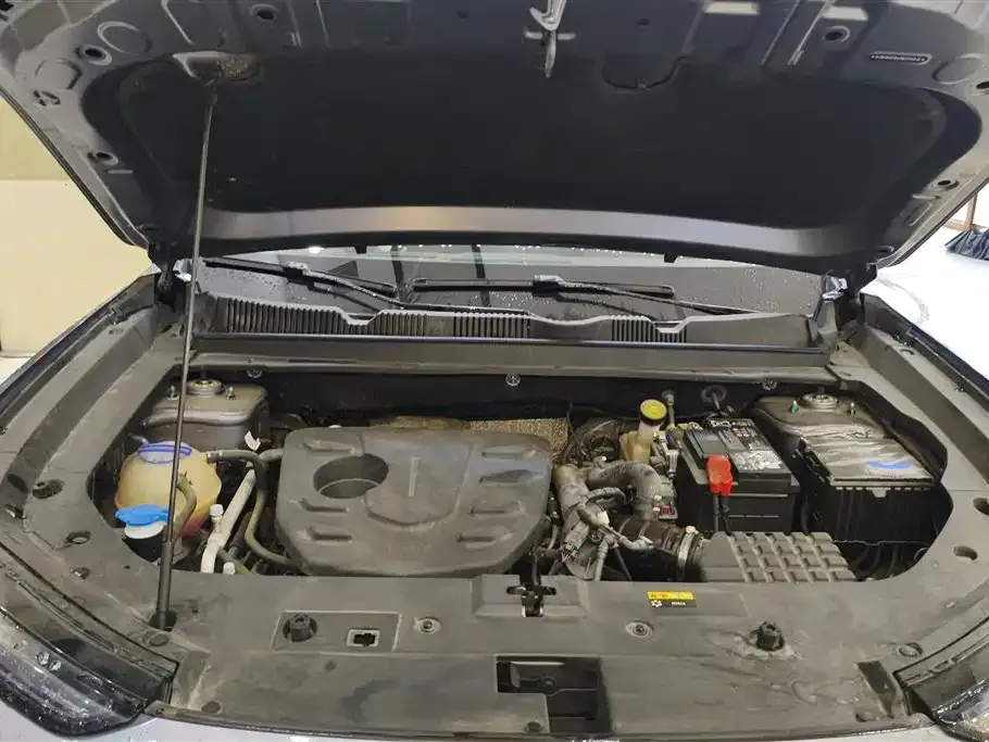 Jetour Dasheng 2024 из CN, фото 2