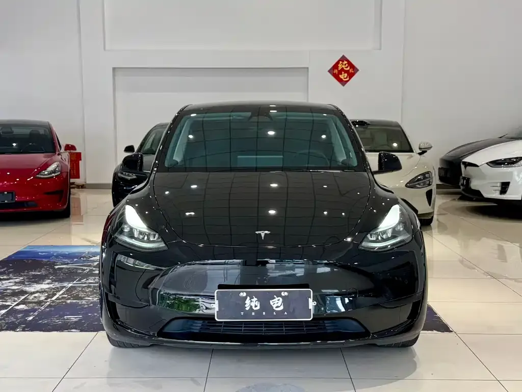 Tesla Model Y — фото 2