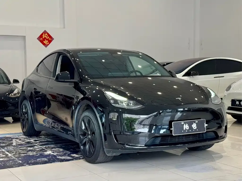 Tesla Model Y — фото 10