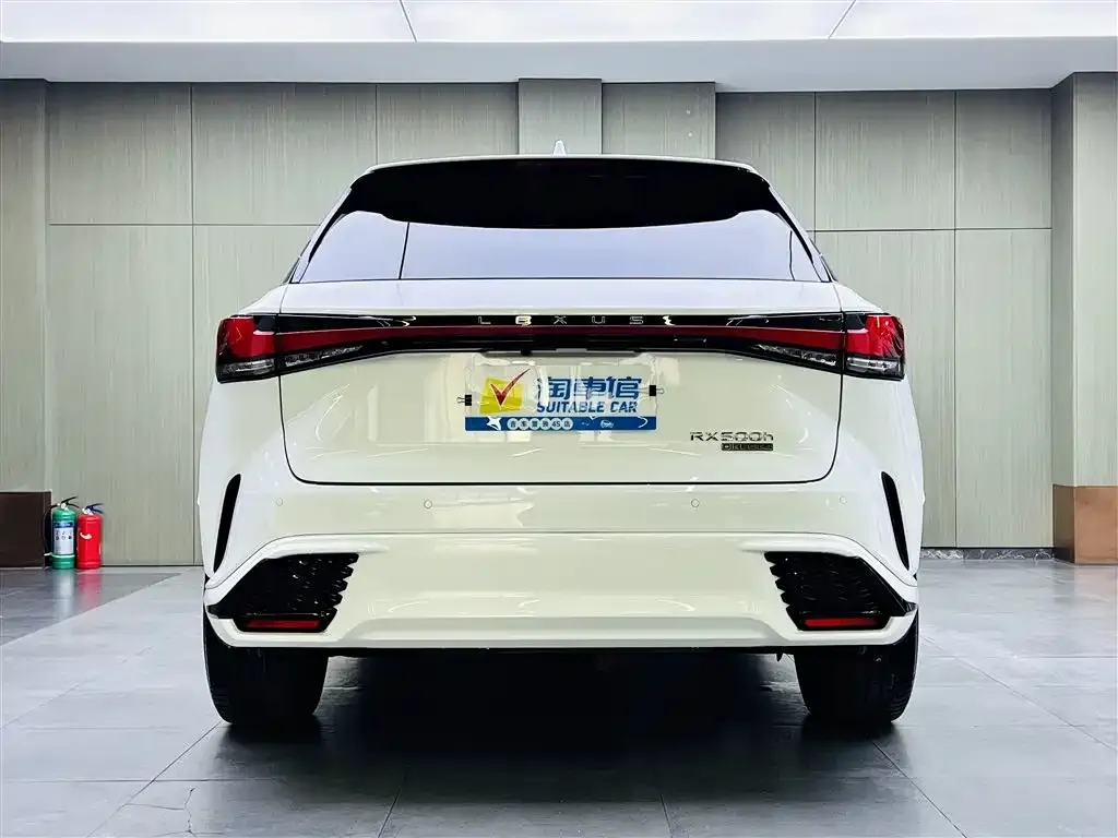 Lexus RX 2024 из CN, фото 3
