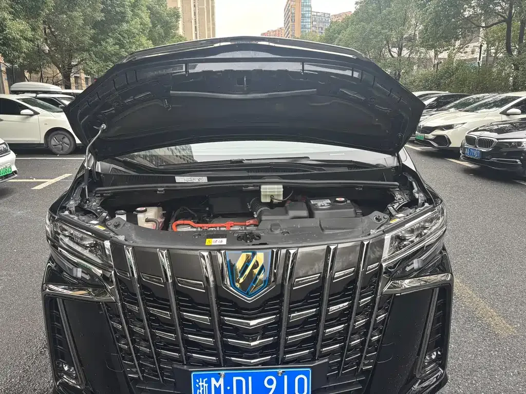 Toyota Alphard 2022 из CN, фото 2