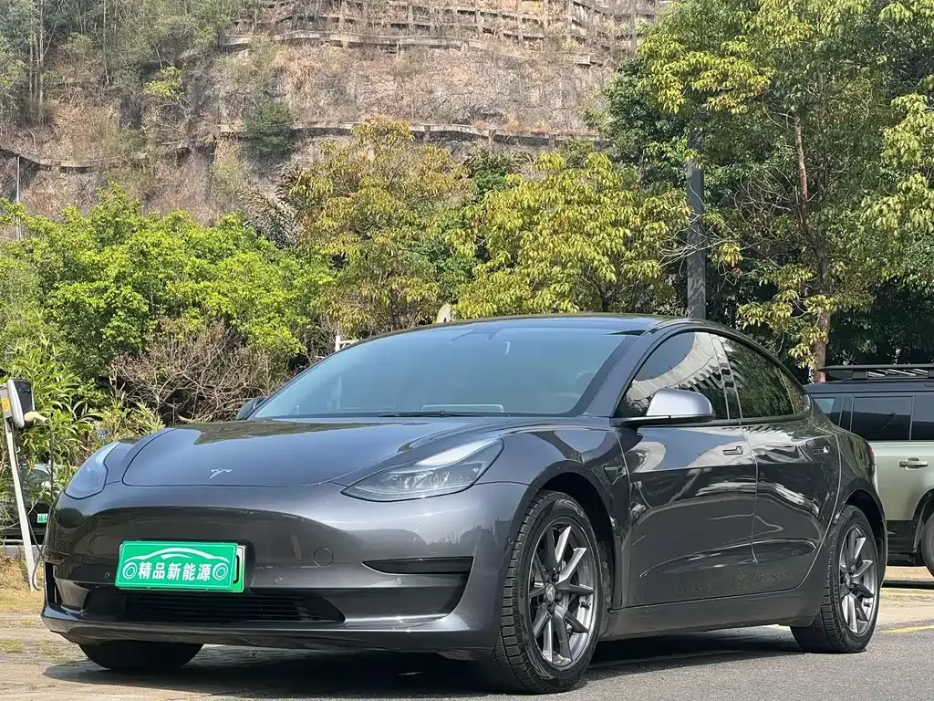 Tesla Model 3 2021 из CN, фото 1