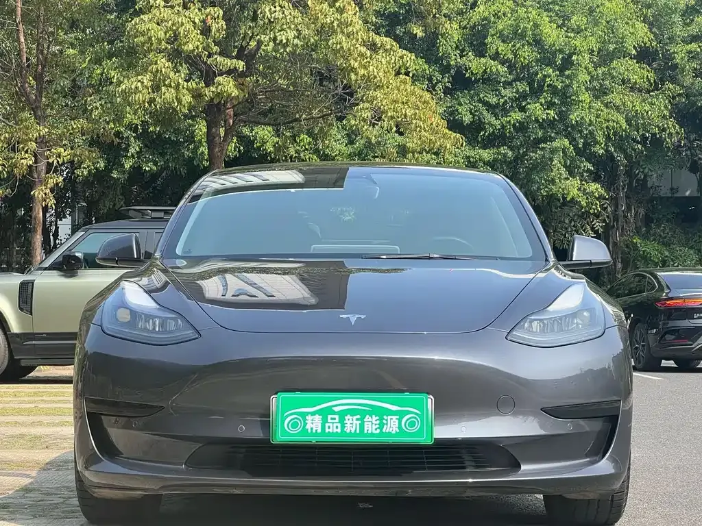 Tesla Model 3 2021 из CN, фото 5