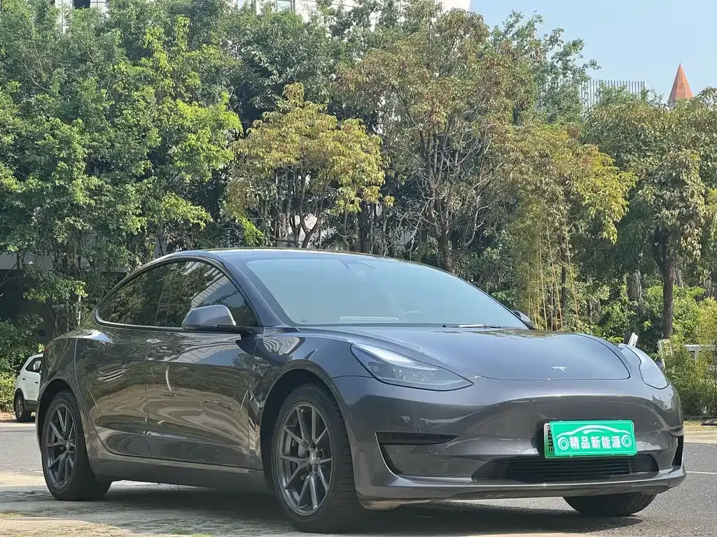 Tesla Model 3 2021 из CN, фото 6