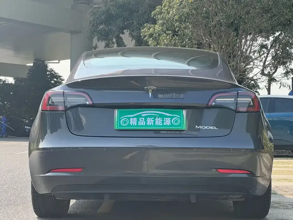 Tesla Model 3 2021 из CN, фото 8
