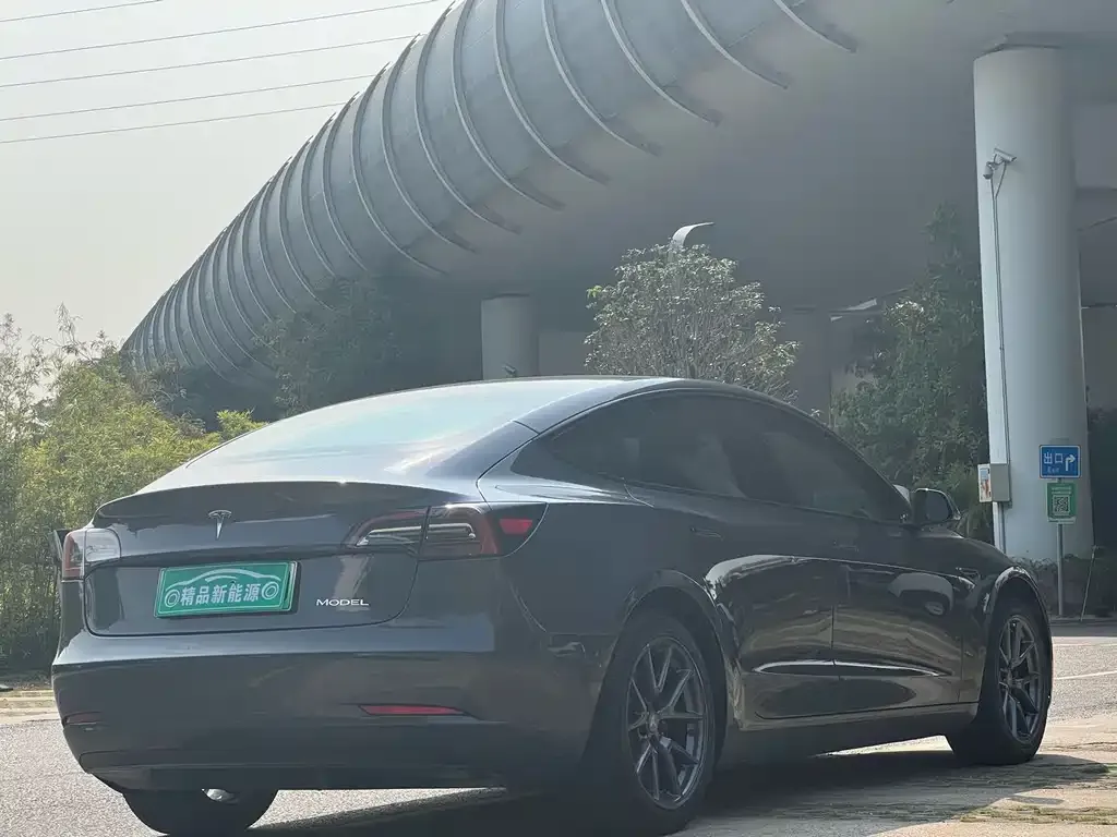 Tesla Model 3 2021 из CN, фото 3