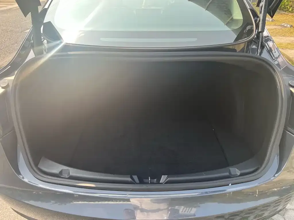 Tesla Model 3 2021 из CN, фото 4